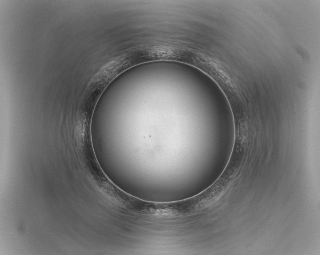 X0000116590645200912101540