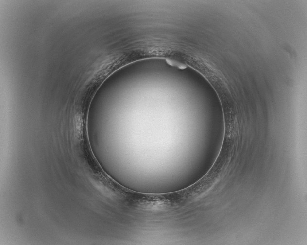 X0000116590646200912101540