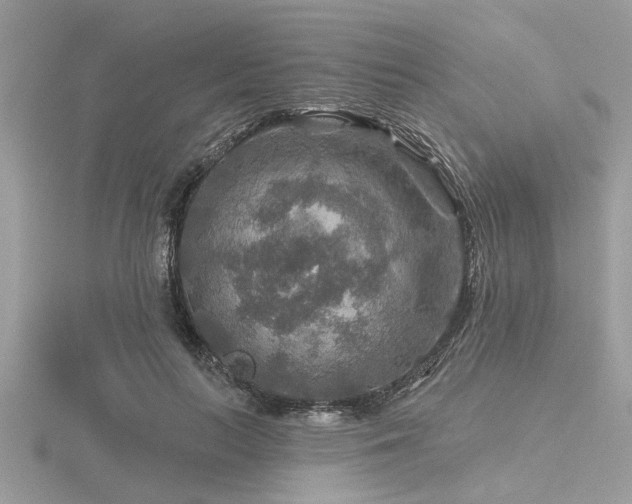 X0000116590647200912101540