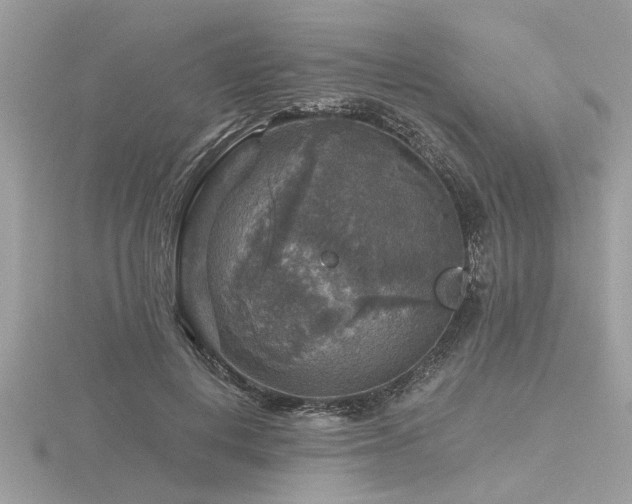 X0000116590648200912101540