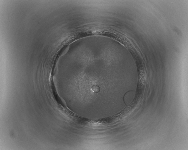 X0000116590650200912101540