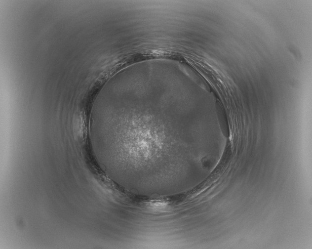 X0000116590651200912101540