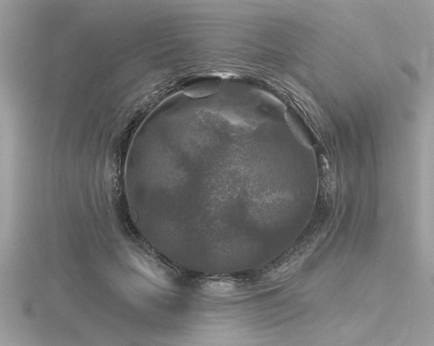 X0000116590653200912101540