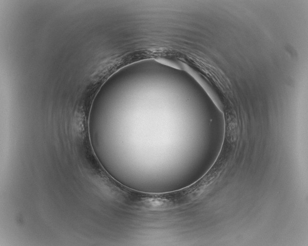 X0000116590654200912101540