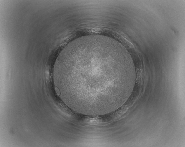 X0000116590655200912101540