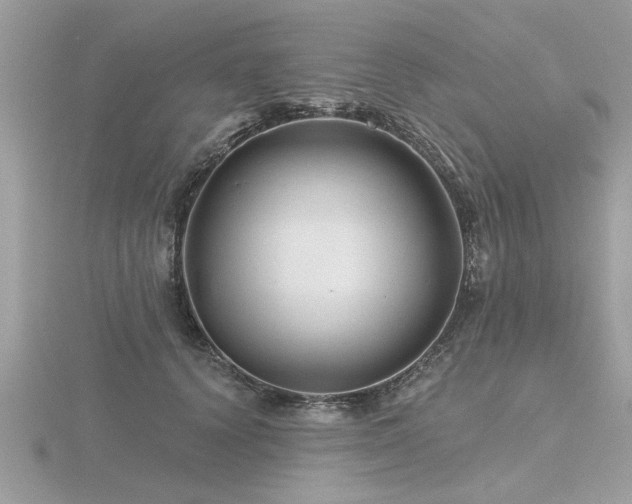 X0000116590656200912101540