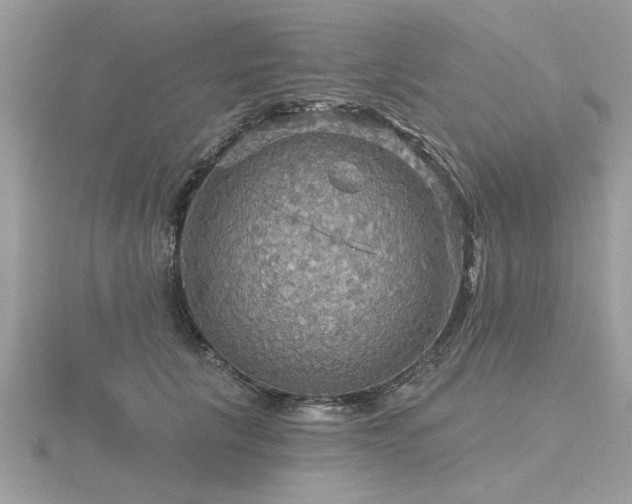 X0000116590657200912101540