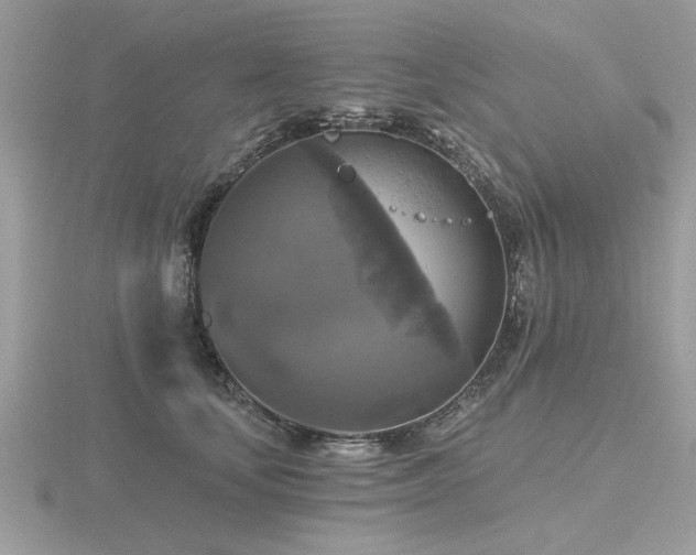 X0000116590659200912101540