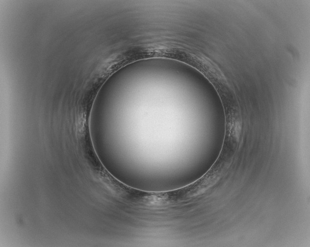 X0000116590660200912101540