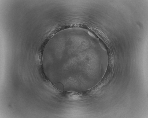 X0000116590661200912101540