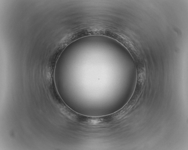 X0000116590662200912101540