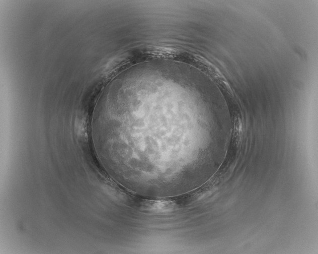 X0000116590663200912101540