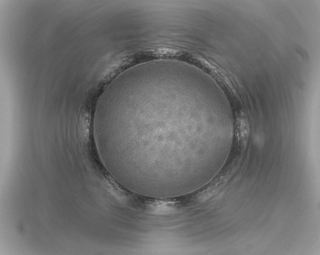 X0000116590664200912101540