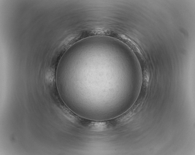 X0000116590665200912101540