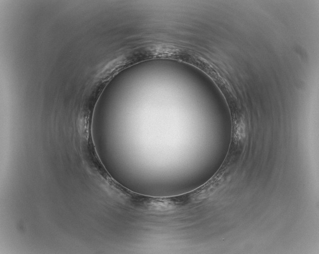 X0000116590666200912101540