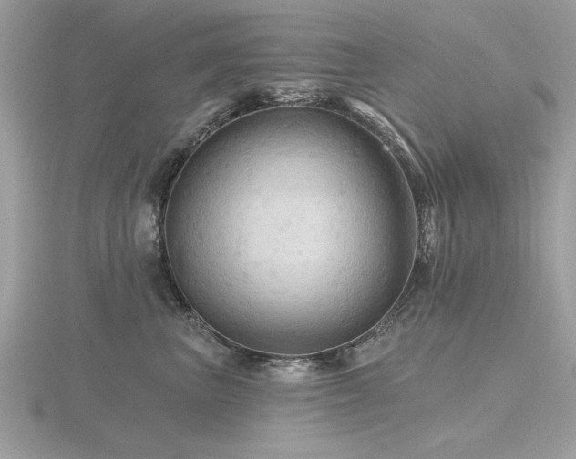 X0000116590667200912101540