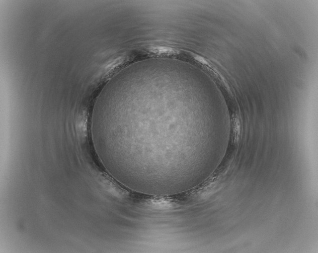 X0000116590668200912101540