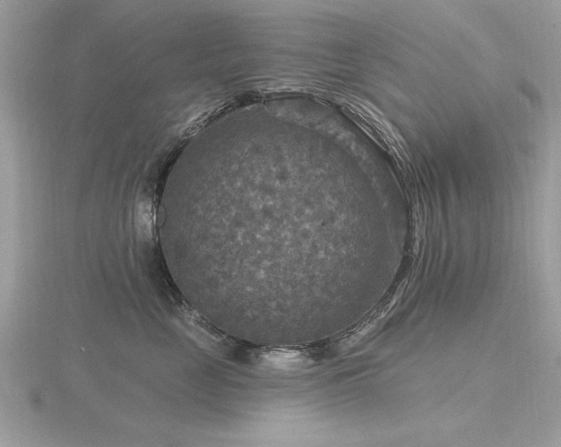 X0000116590669200912101540