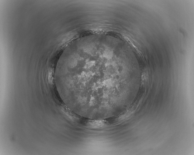 X0000116590671200912101540