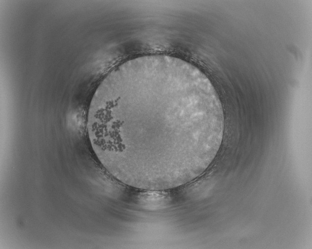 X0000116590672200912101540