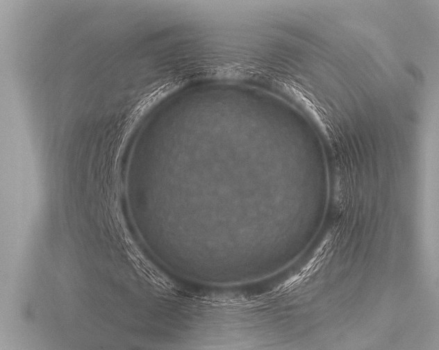 X0000116590673200912101540