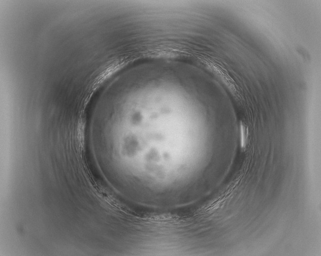 X0000116590675200912101540