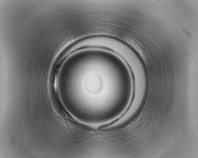 X0000116590676200912101540