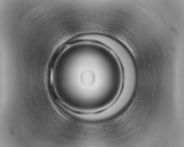 X0000116590677200912101540