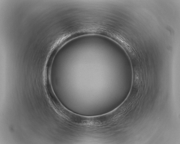 X0000116590678200912101540