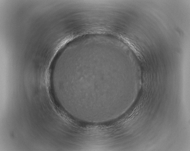 X0000116590679200912101540