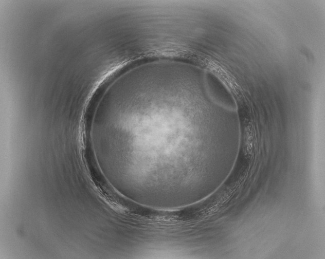 X0000116590680200912101540