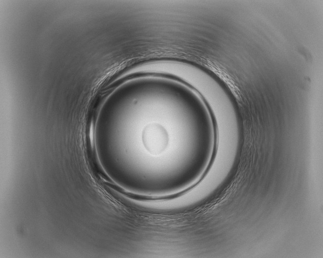 X0000116590681200912101540