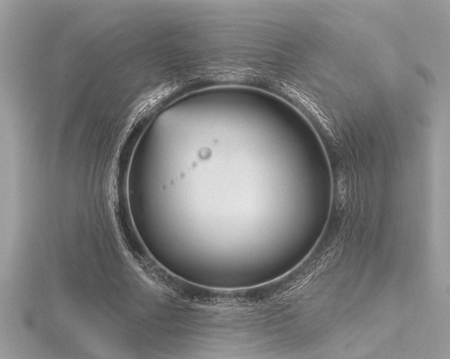 X0000116590682200912101540