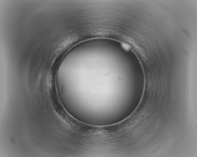 X0000116590683200912101540