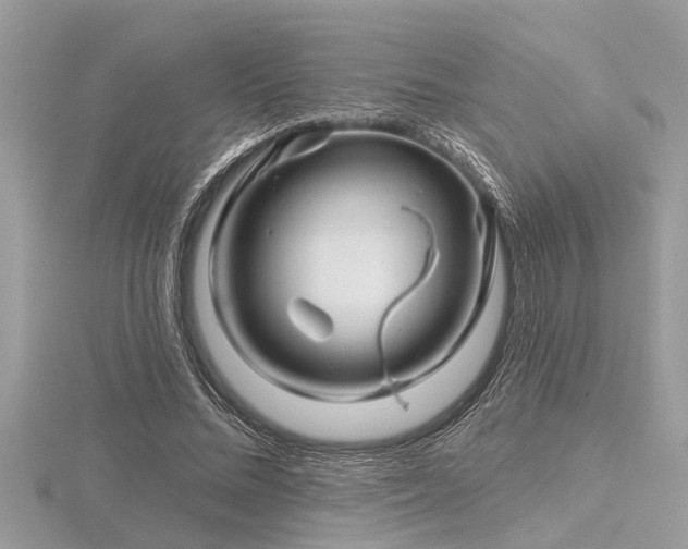 X0000116590684200912101540