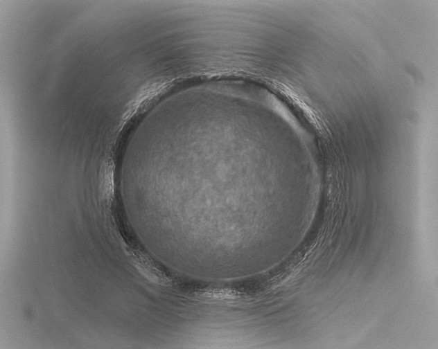 X0000116590685200912101540