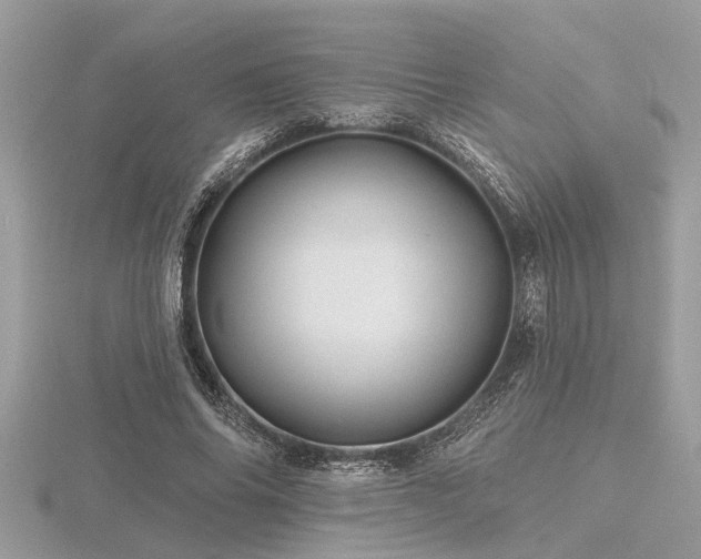 X0000116590686200912101540