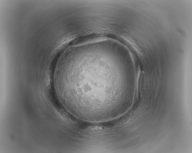 X0000116590687200912101540