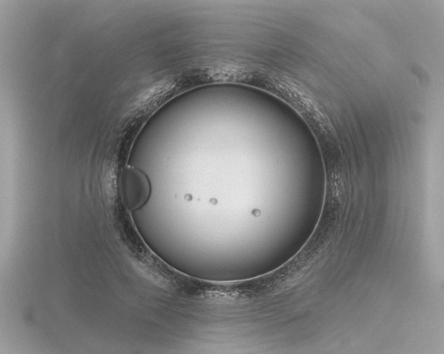 X0000116590690200912101540