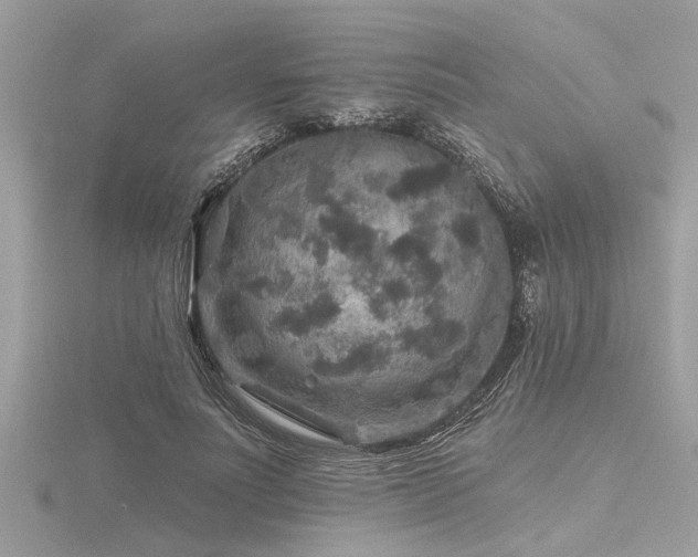 X0000116590691200912101540