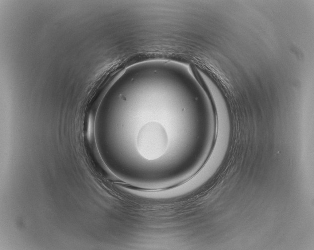 X0000116590692200912101540