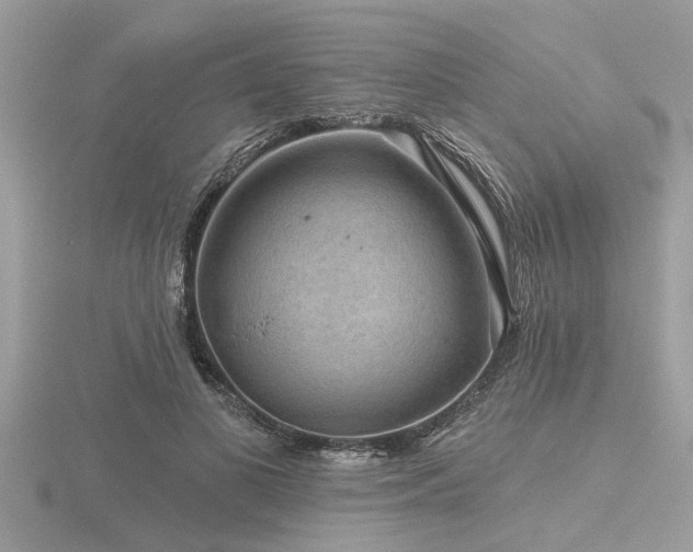 X0000116590693200912101540