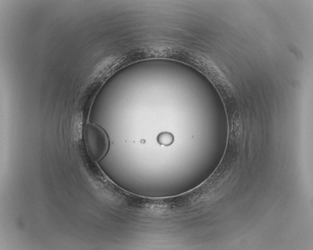 X0000116590694200912101540