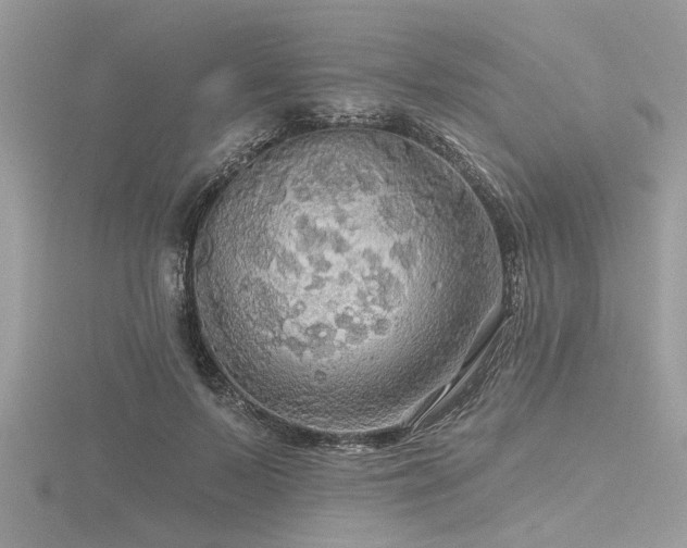 X0000116590695200912101540