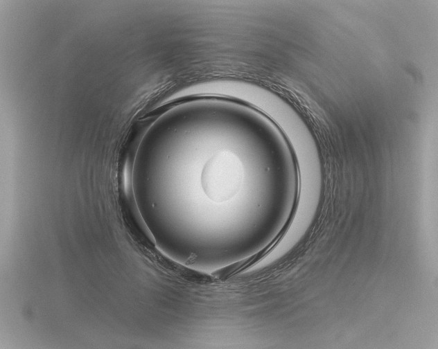 X0000116590696200912101540