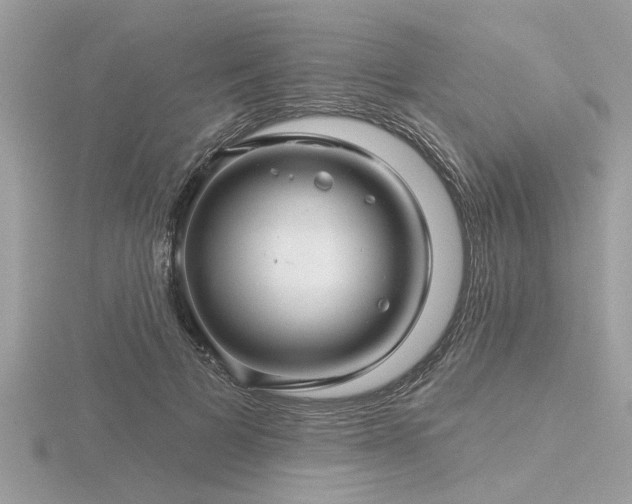 X0000116590697200912101540