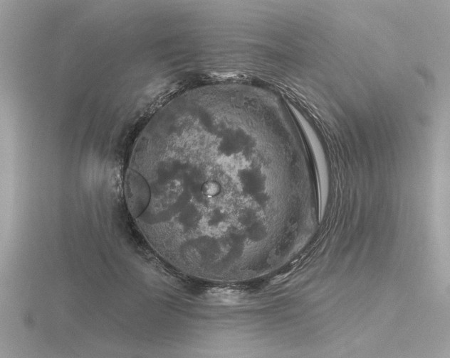 X0000116590699200912101540