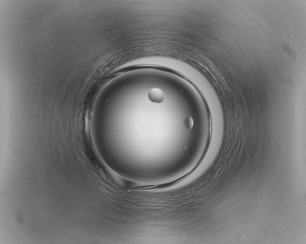 X0000116590701200912101539