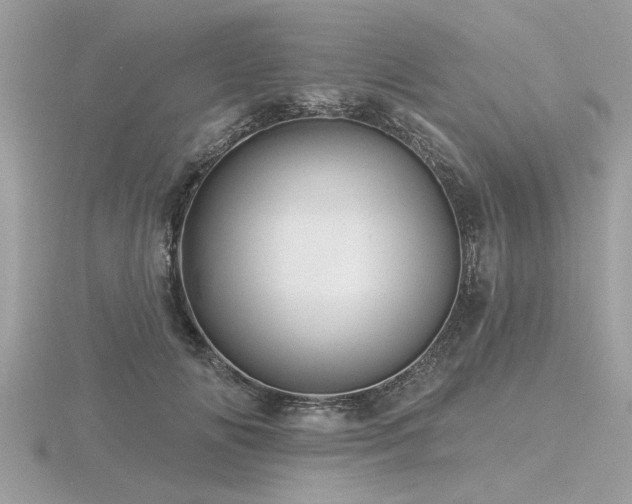 X0000116590702200912101539