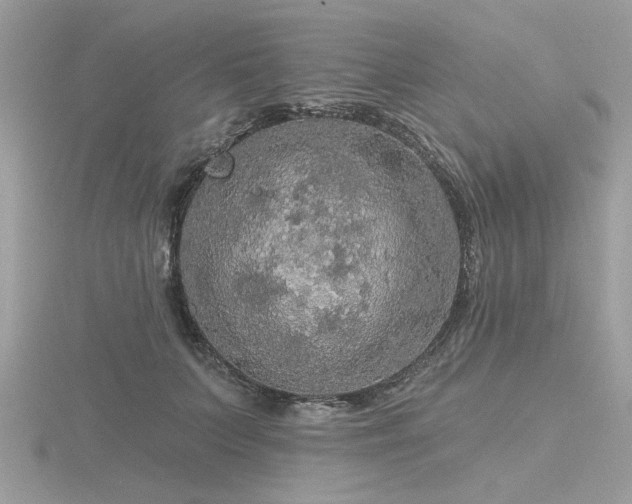 X0000116590703200912101539